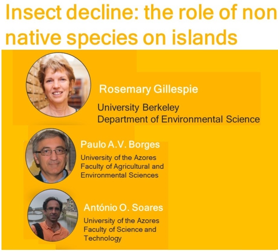 ’Insect decline: the role of non native species on islands’