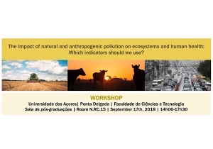 Workshop “The impact of natural and anthropogenic pollution on ecosystems and human health: which indicators should we use?” | 17 setembro, 14h-17h30