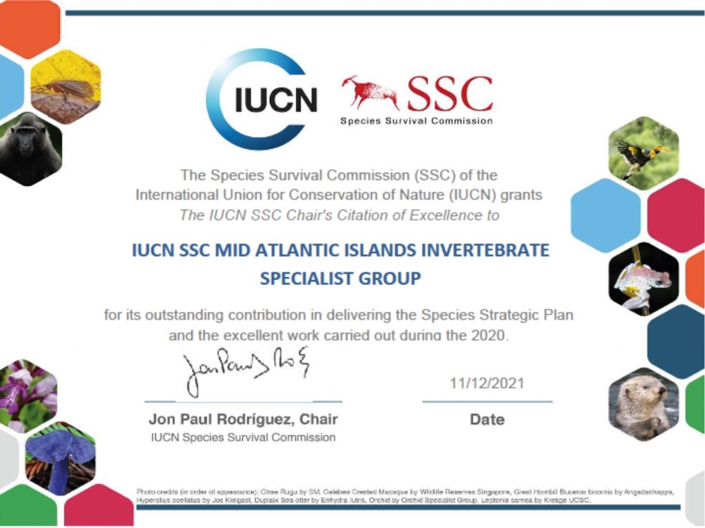 IUCN -SSC-Chair’s Citation of Excellence Award for 2020