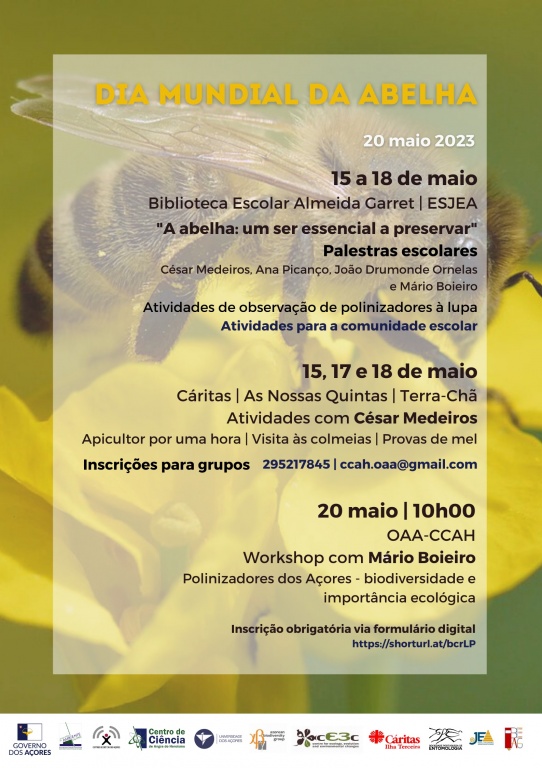 Dia Mundial da Abelha - 20 de maio