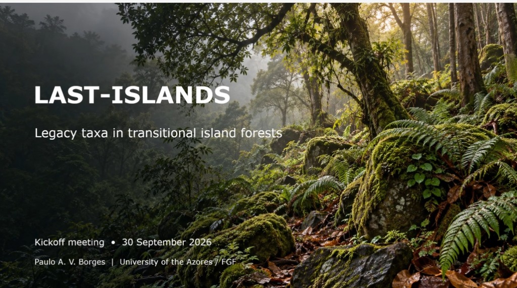 LAST-ISLANDS seeks to discover where rare endemic species survive in exotic forests of the Azores